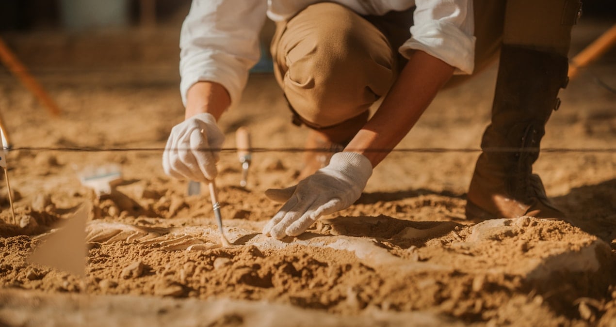 13 bin yillik mamutlarin dnasi bilim insanlarini sasirtti qUPlyg8k
