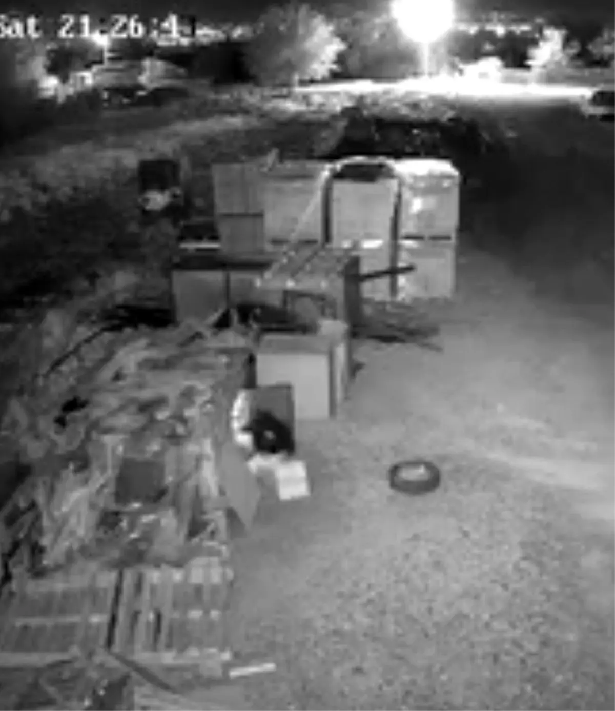 elazigda guvercin hirsizligi guvenlik kamerasinda MiHQt9R6.jpg