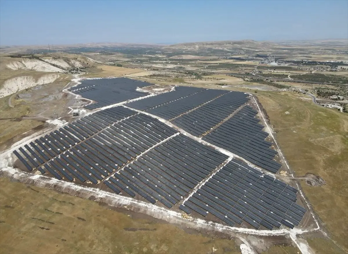 nesli tukenme tehlikesindeki cizgili sirtlan goruntulendi nDsU1MUM