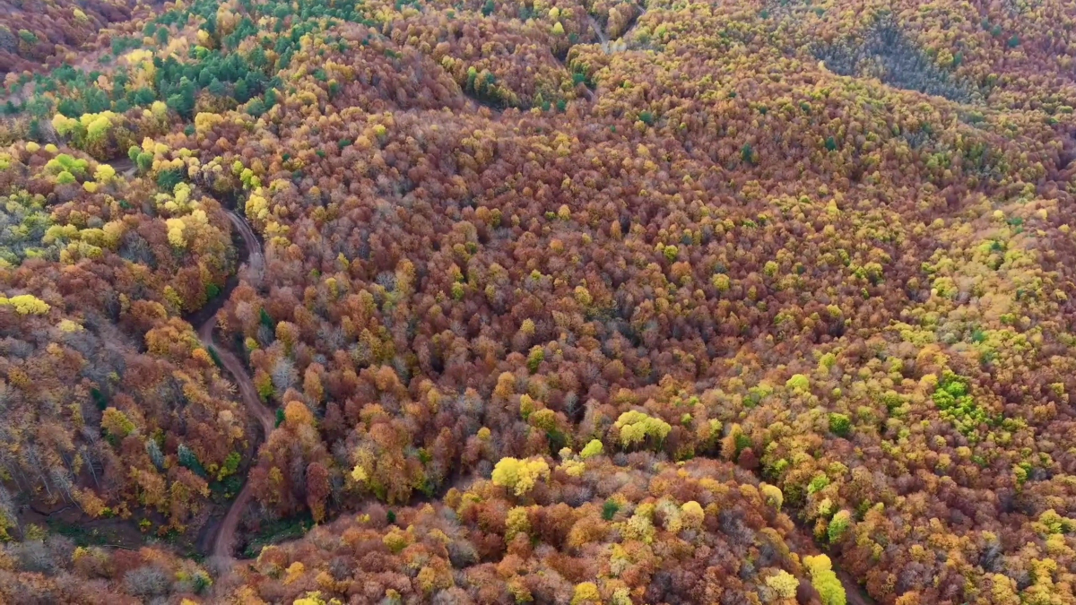 bolu mengende sonbahar guzelligi EWTj5Uaf.jpg