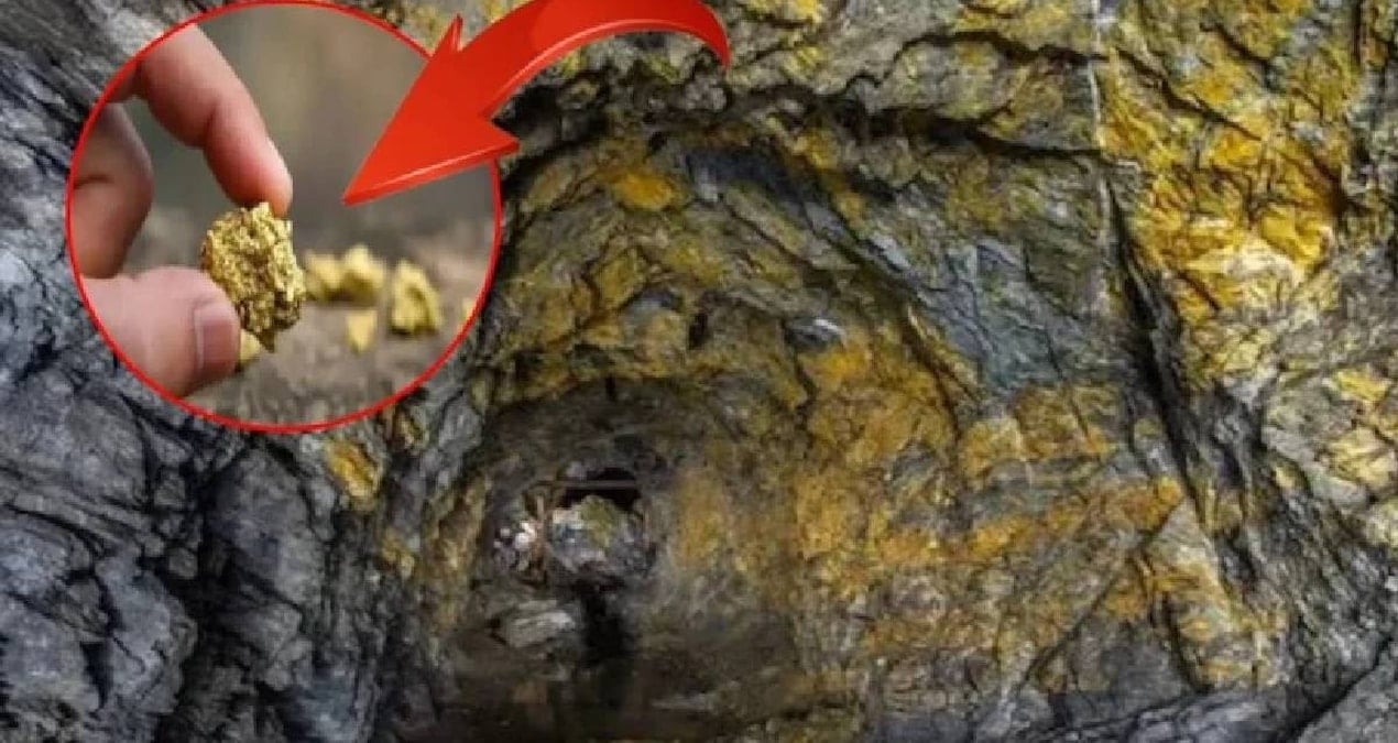 dunyanin en derin 10 altin madeni yerin altina iniyorlar kulce kulce altin cikariyorlar 3UwfOCUO.jpg