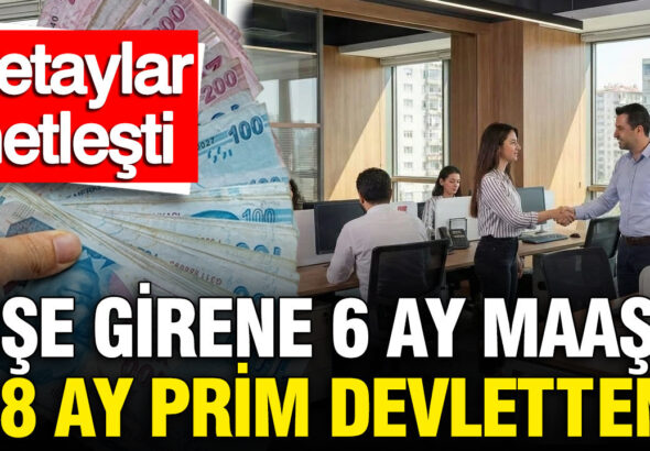 genc-istihdam-hamlesinin-detaylari-netlesti-ise-girene-6-ay-maas-18-ay-prim-devletten-NsGaMbJI